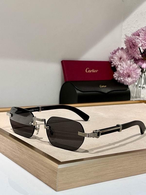 Cartier Sunglasses 111